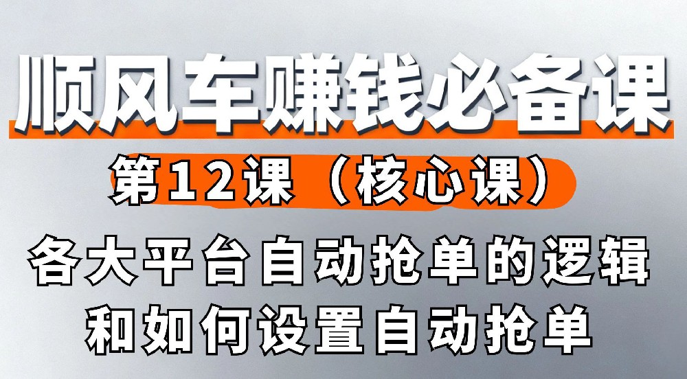 12. 各大平台自动抢单的逻辑和如何设置自动抢单（核心课）